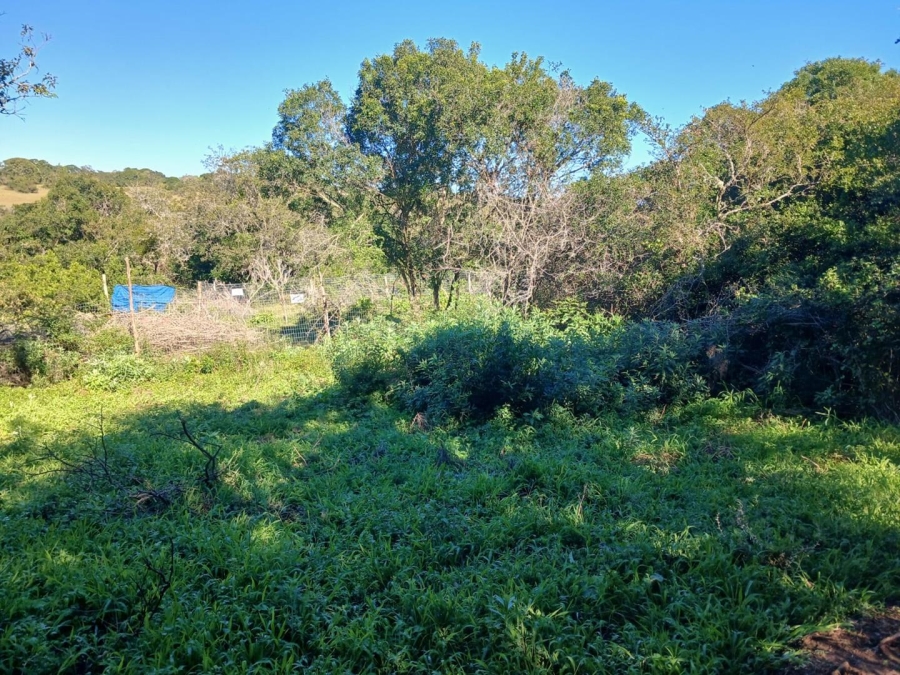 0 Bedroom Property for Sale in Bathurst Eastern Cape